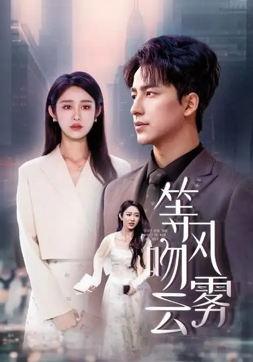 断线风筝 都市剧在线观看